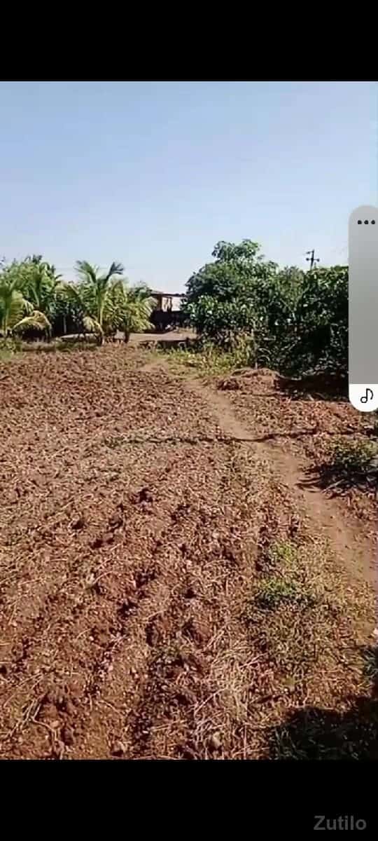 ઈમરજન્સીમાં વેચવાની છે ઈમરજન્સીમાં વેચવાની છે