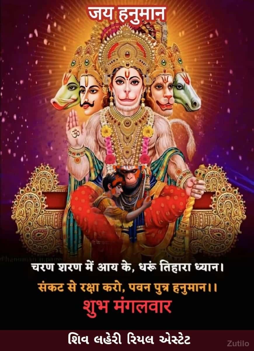 *જમીન લે વેચ માટે સંપર્ક કરો* *જમીન લે વેચ માટે સંપર્ક કરો*