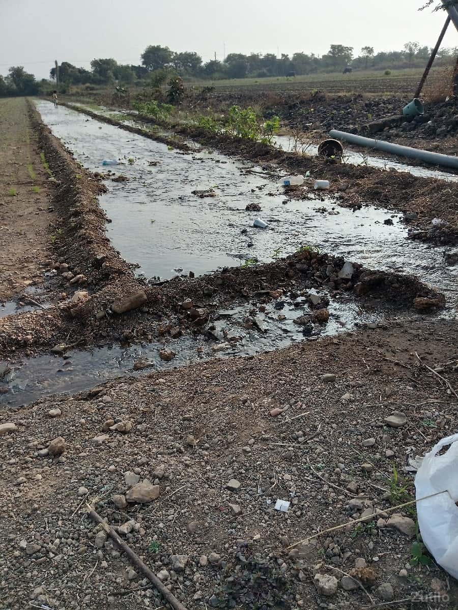 5/6/7//8/જેવીજોતીતવીમણસ 5/6/7//8/જેવીજોતીતવીમણસ