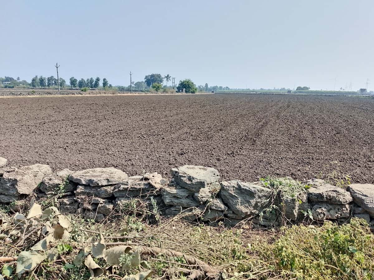 7.5 વિઘા હાઈવે ની બાજુમાં 7.5 વિઘા હાઈવે ની બાજુમાં