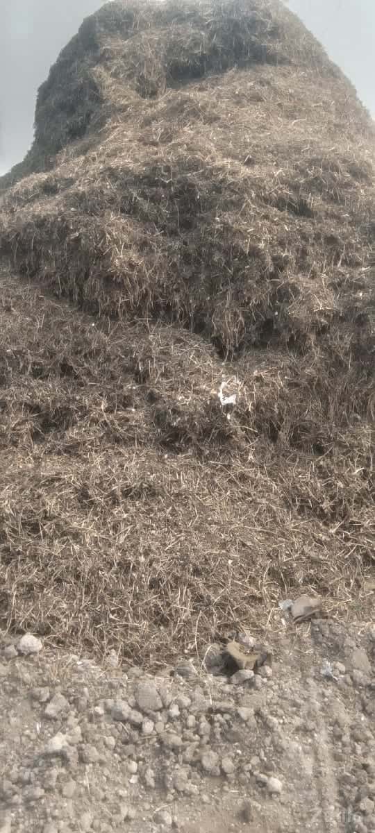 મગફળી નો ભૂકો વેચવાનો છે મગફળી નો ભૂકો વેચવાનો છે