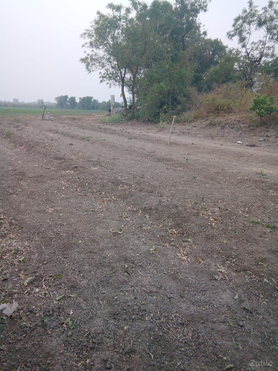 જમીન લેવા માટે મળો - Land & Plots - Upleta - Image 1