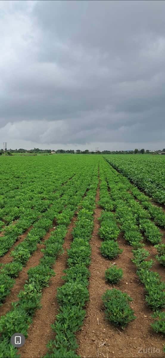 વિપુલભાઇ મો: 9723641120 વિપુલભાઇ મો: 9723641120