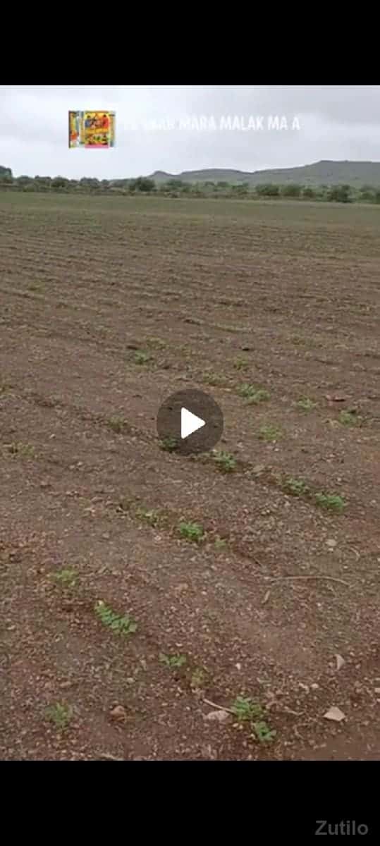 ઈલીયાસ ભાઈ ઘુઘા ૯૪૨૭૫૮૩૮૩૬ ઈલીયાસ ભાઈ ઘુઘા ૯૪૨૭૫૮૩૮૩૬