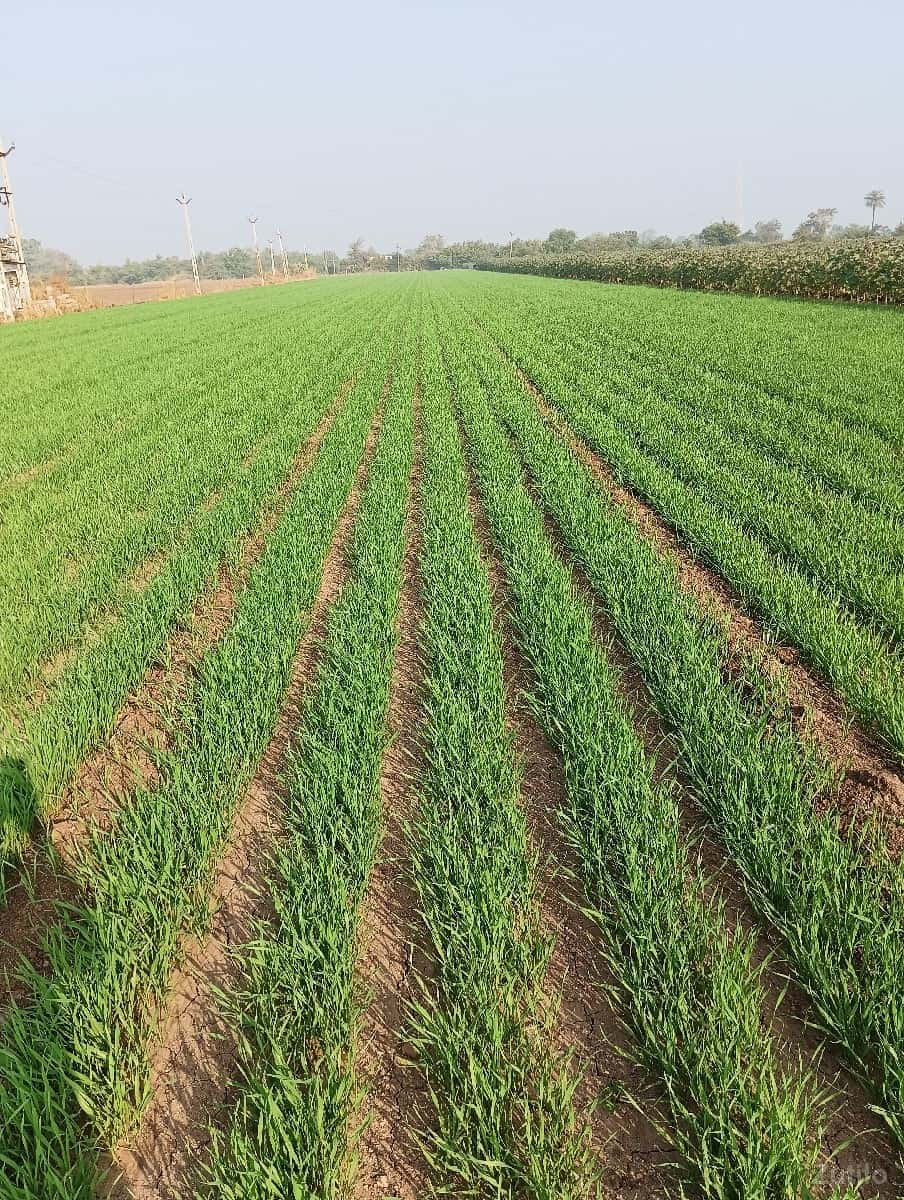 જમીન વેચવાની છે જમીન વેચવાની છે