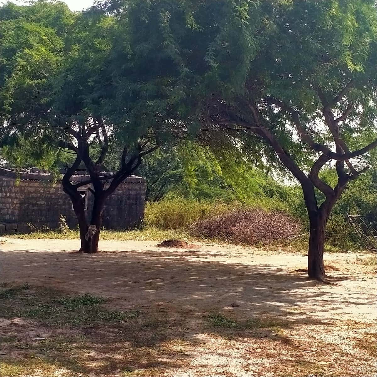 Koi Mara Bhai unhen koi lakadha no Koi Mara Bhai unhen koi lakadha no