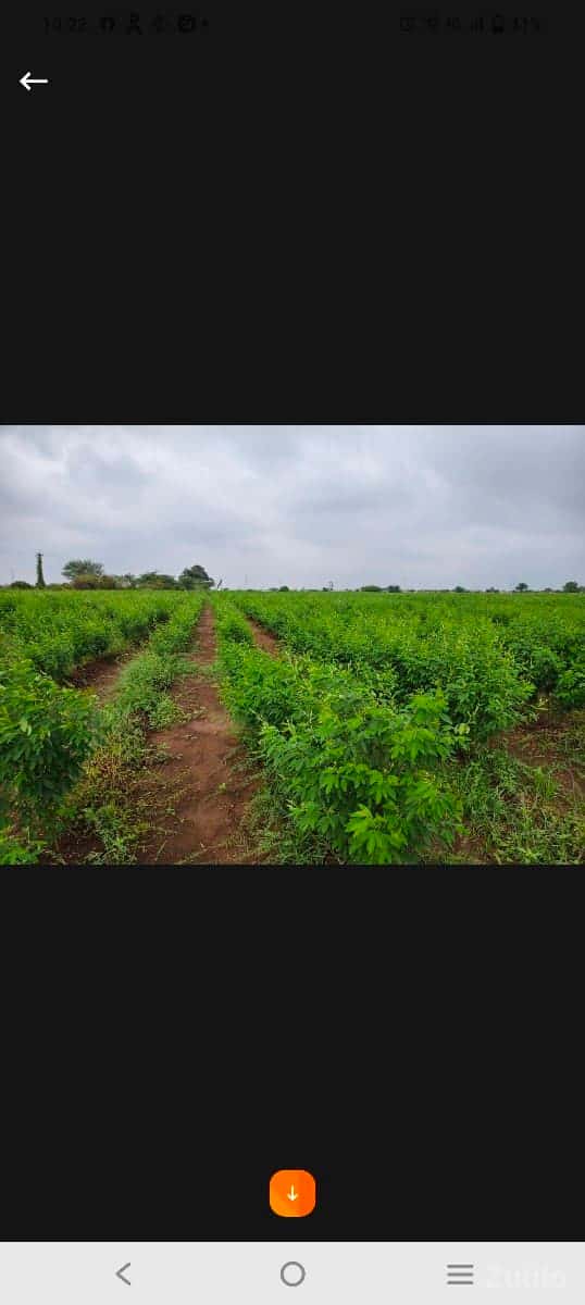 ખંભાળિયા થીજામનગર ખંભાળિયા થીજામનગર