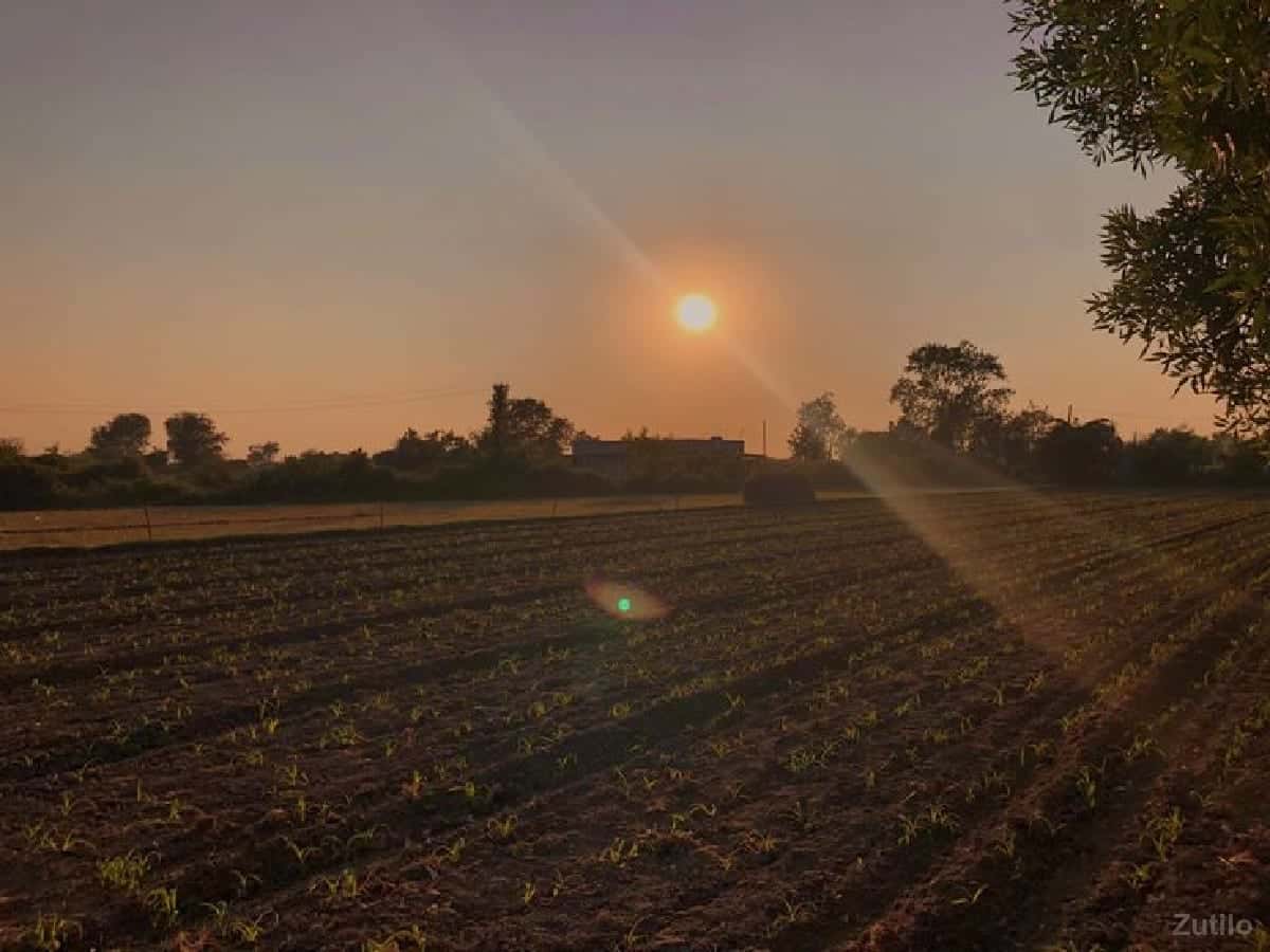 જમીન વેચાવા ની છે. જમીન વેચાવા ની છે.