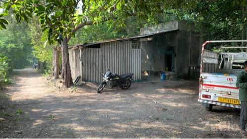 ખૂબજ સરસ ૧૦ વીઘા ચીકુ નો બગીચો વેચવા નો છે ,હાઇવે થી ૫ મીનીટ ના અંતરે ખૂબજ સરસ ૧૦ વીઘા ચીકુ નો બગીચો વેચવા નો છે ,હાઇવે થી ૫ મીનીટ ના અંતરે