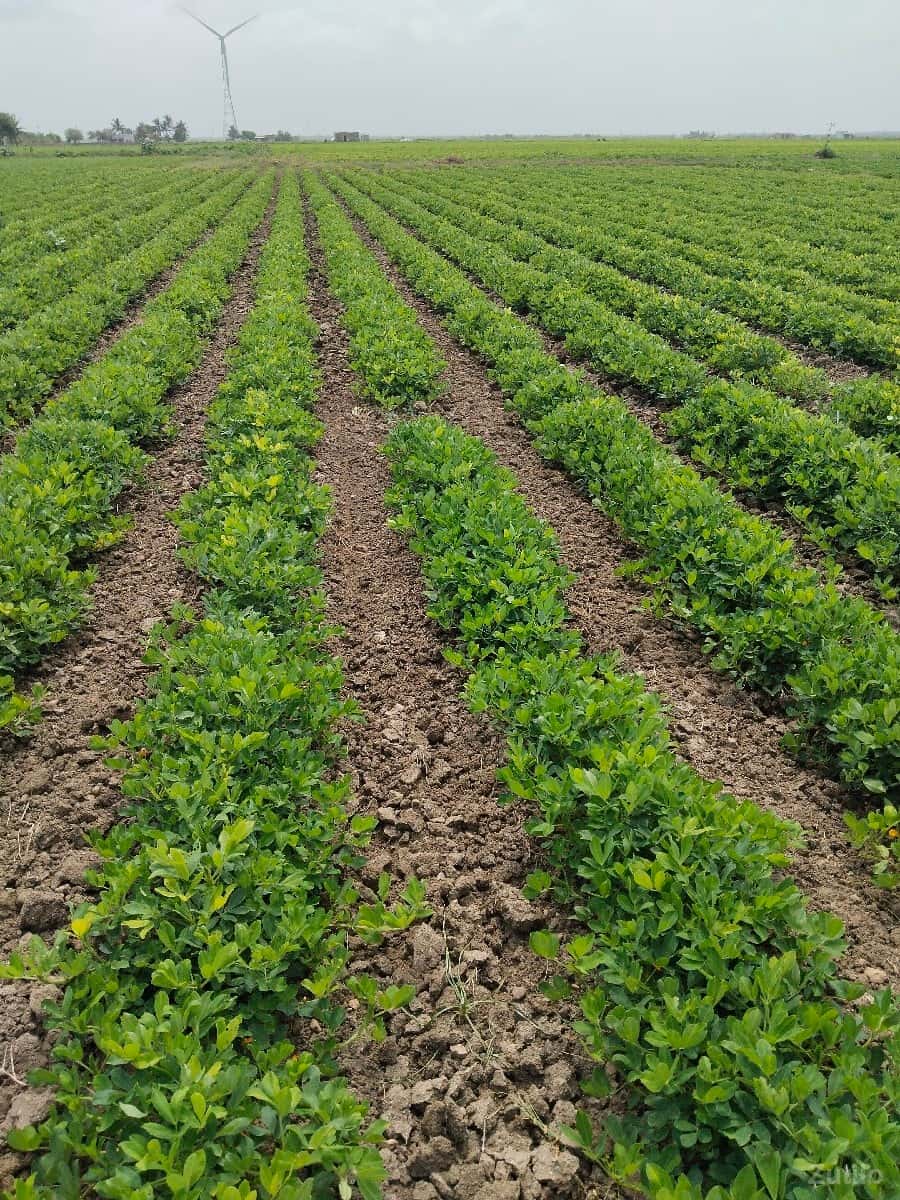 દેવભૂમિ દ્વારકા કલ્યાણપુર તાલુકો દેવભૂમિ દ્વારકા કલ્યાણપુર તાલુકો