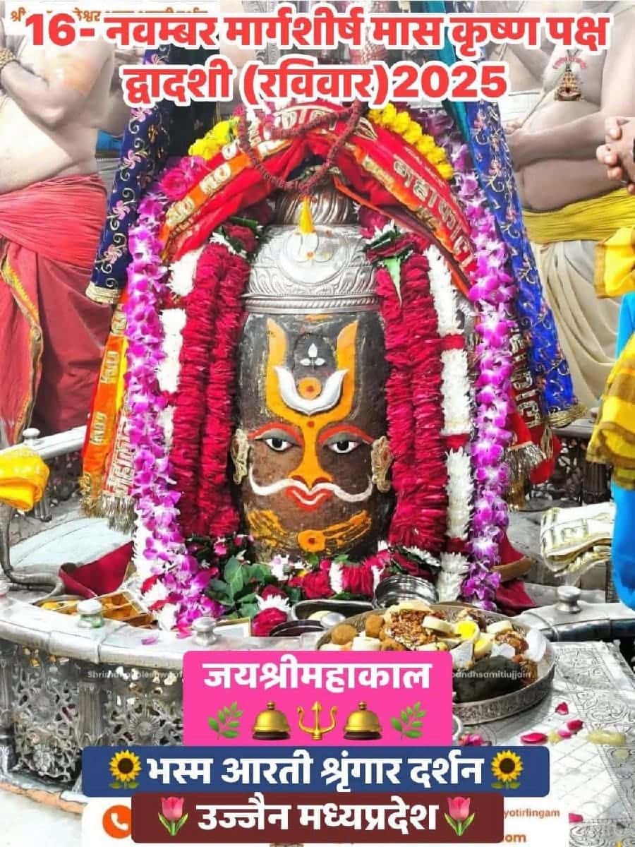 *જમીન લે વેચ માટે સંપર્ક કરો* *જમીન લે વેચ માટે સંપર્ક કરો*