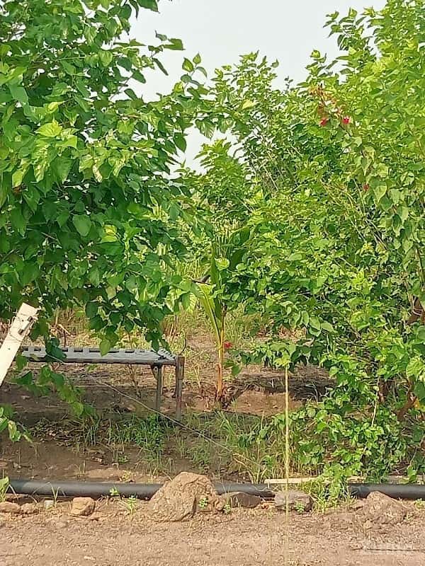 જમીન વેચવાની છે જમીન વેચવાની છે