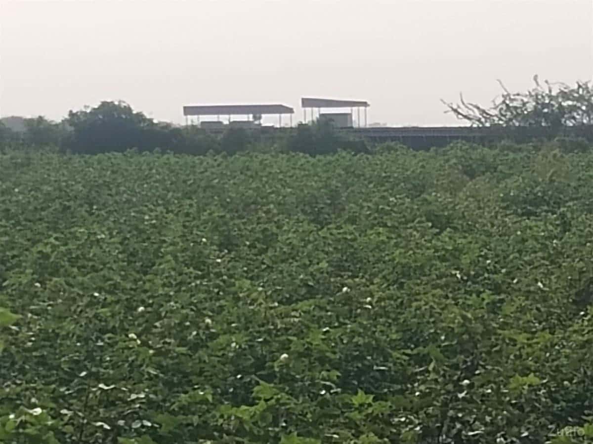 જમીન વેચવાની છે
60-વીધા , જુની સ જમીન વેચવાની છે
60-વીધા , જુની સ