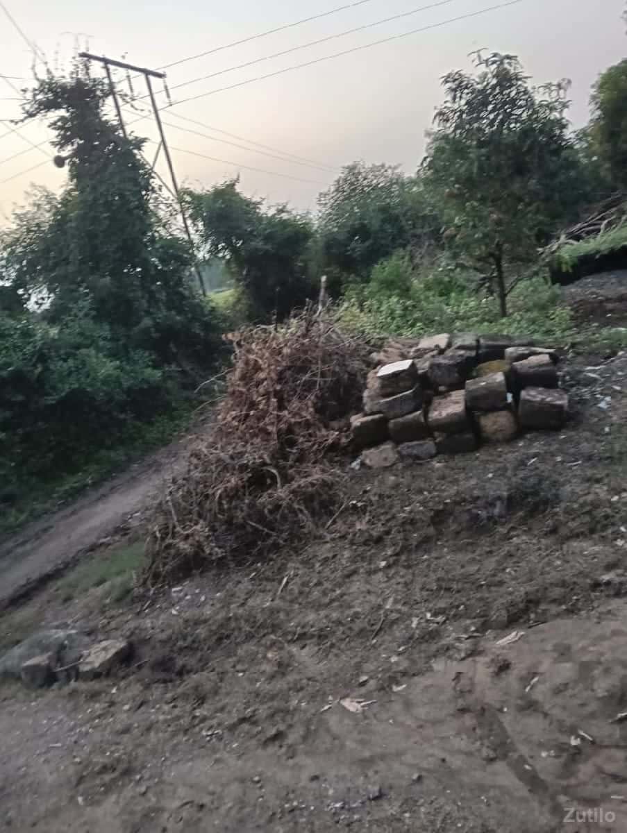 12 વિધા જમીન વેચવાની છે 12 વિધા જમીન વેચવાની છે