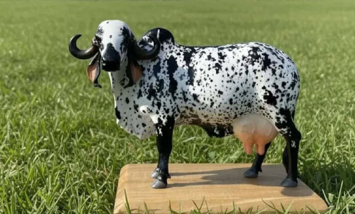 ભાગ્યું રાખવા નુ છે ભાગ્યું રાખવા નુ છે