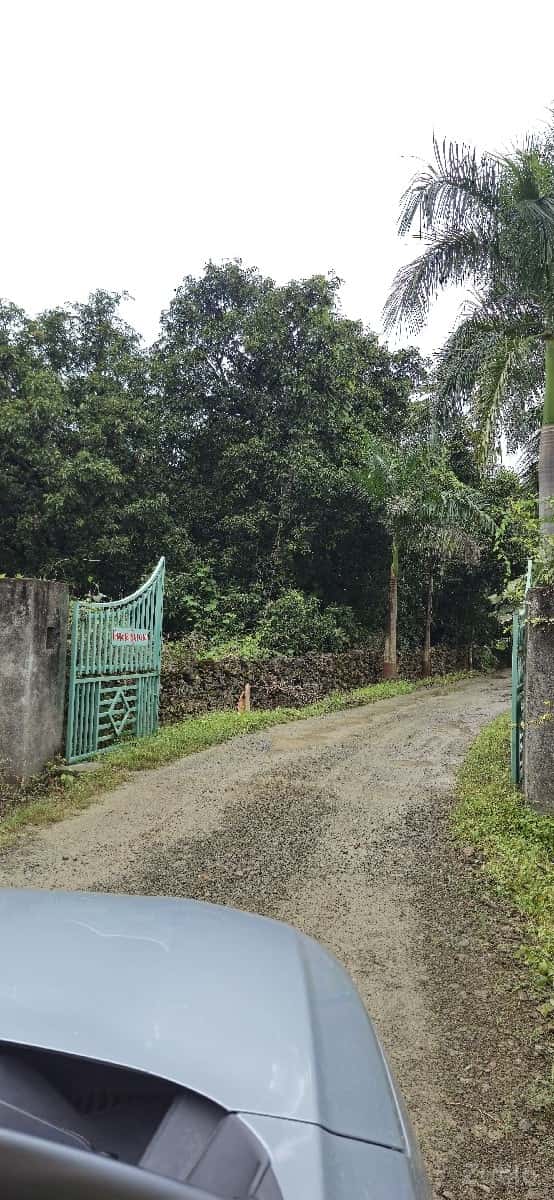 બગીચા વાળી જમીન વેચવાની છે. બગીચા વાળી જમીન વેચવાની છે.