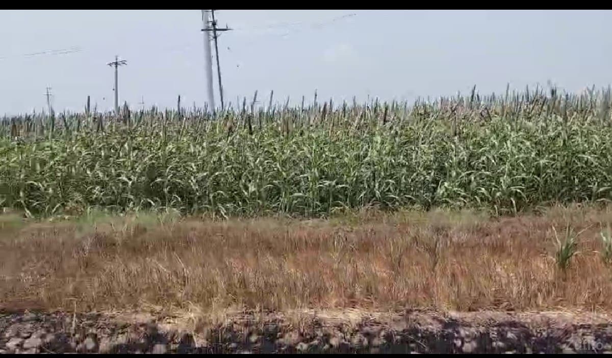 jameen Vechva ni che