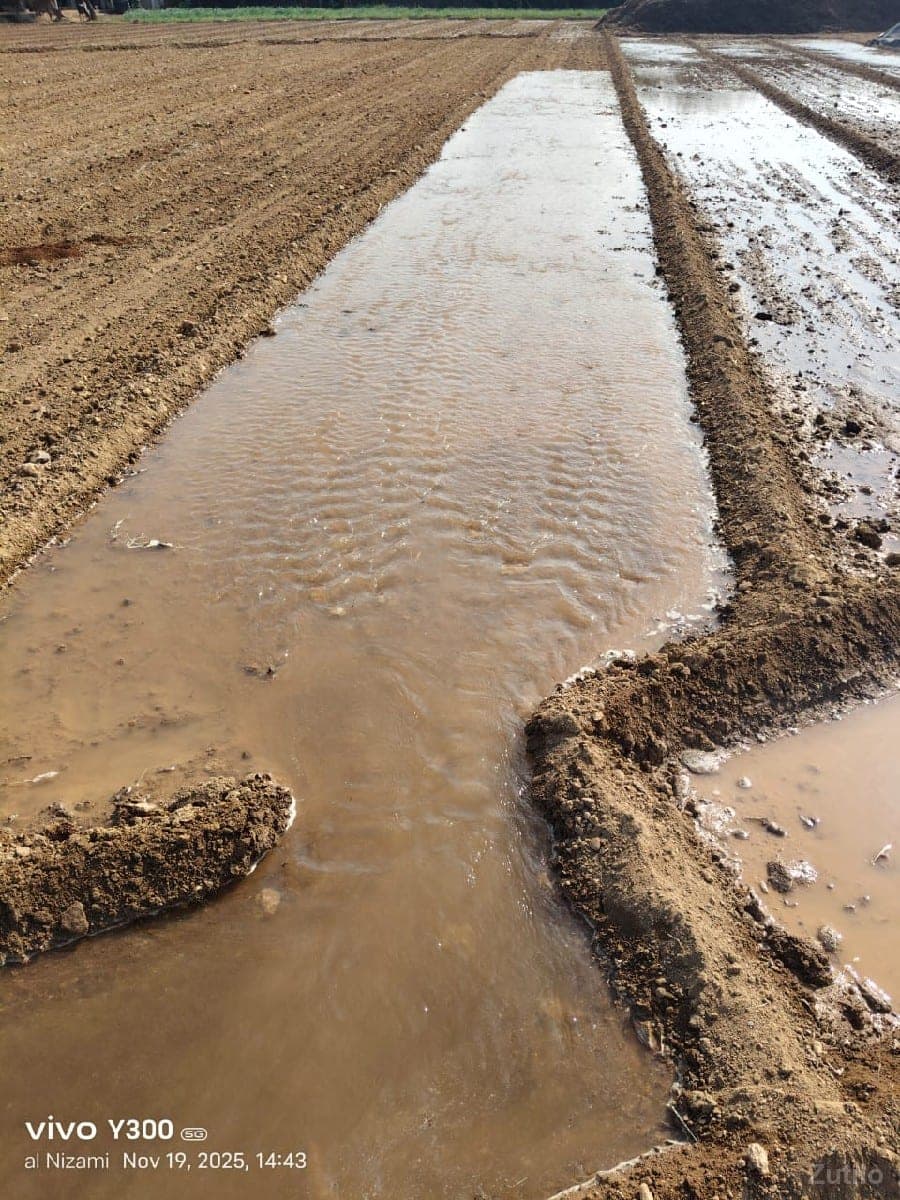 haayve thi 200 fut kharabo - Land & Plots - Bhanvad - Image 1