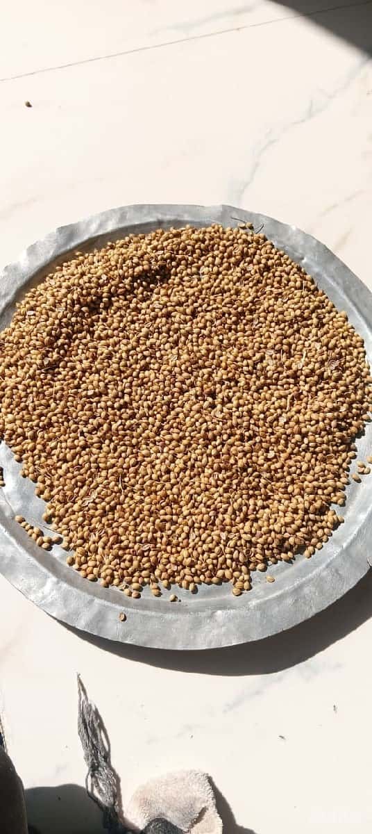 જમીન ભાગ મા આપવાની સે જમીન ભાગ મા આપવાની સે