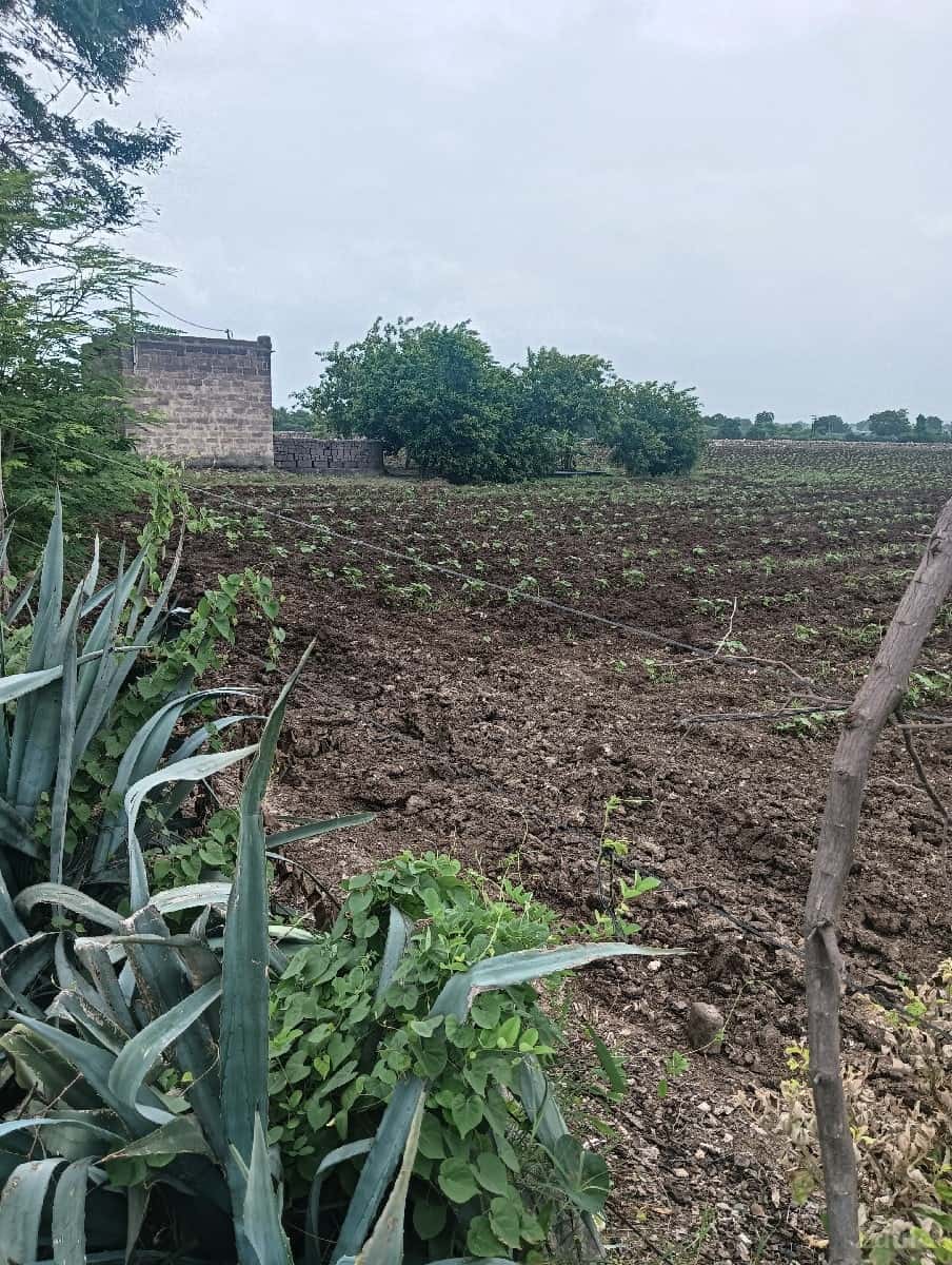 જમીન વેચવાની છે જમીન વેચવાની છે