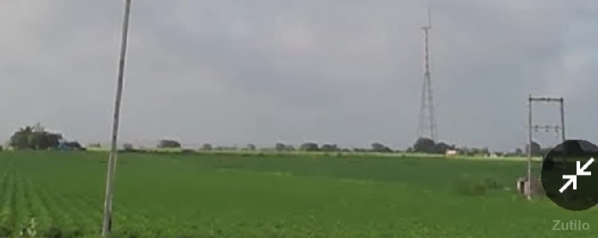 ખેતી ની જમીન વેચવાની છે - Land & Plots - Lalpur - Image 1