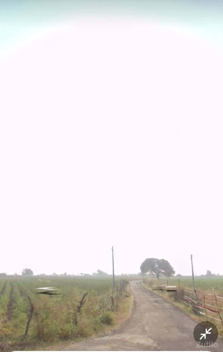 17 વીઘા છે 17 વીઘા છે