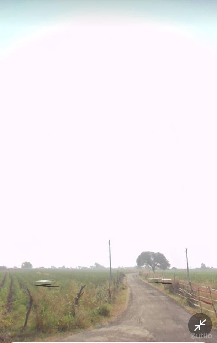 17 વીઘા છે