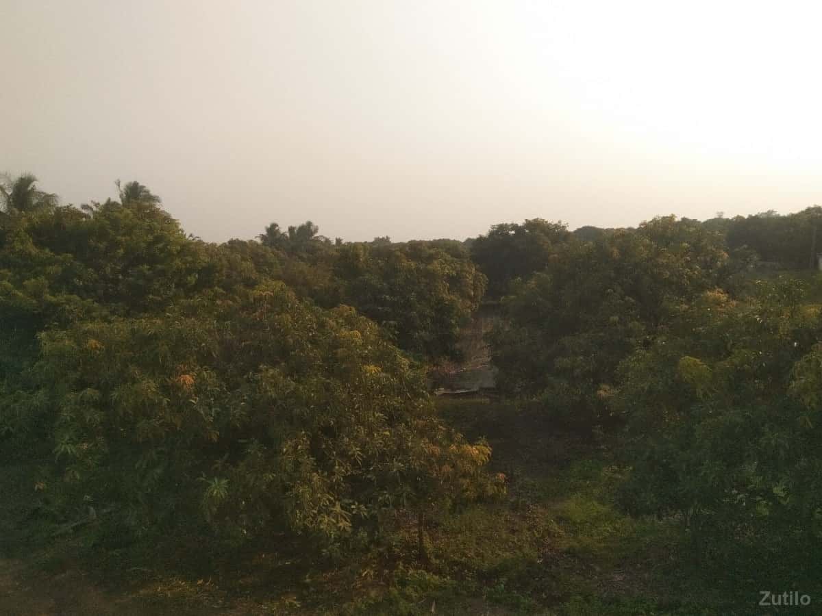 જમીન વેચવાની છે જમીન વેચવાની છે