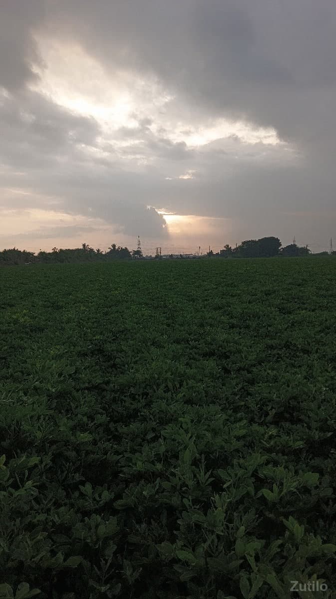 જમીન વેચવાની છે ભાઈ - Land & Plots - Dwarka - Image 1