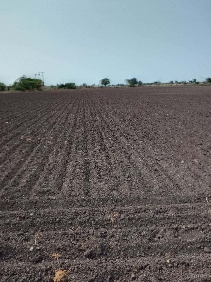 જમીન વેચવાની છે જમીન વેચવાની છે