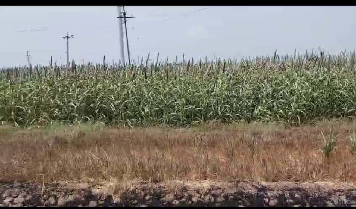 jameen vechva ni che jameen vechva ni che