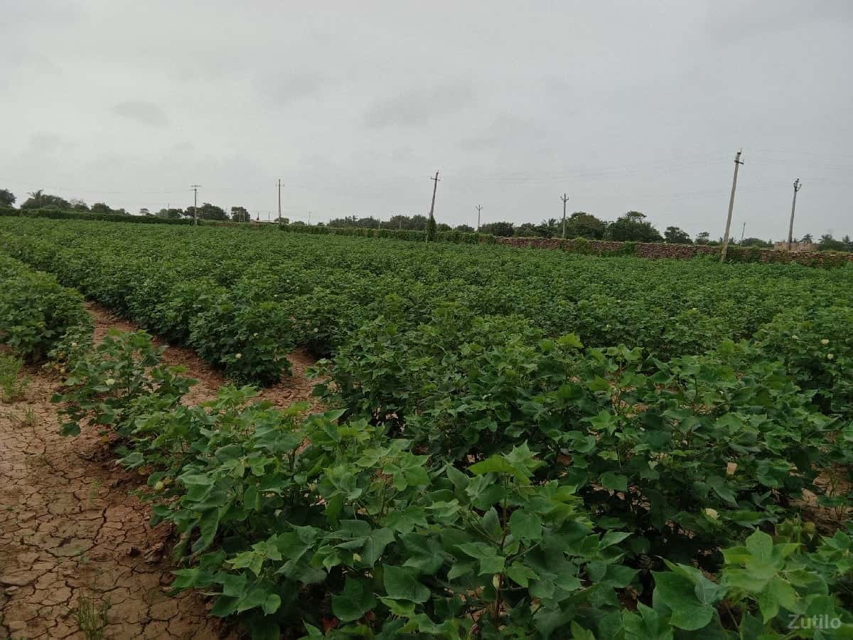 જમીન વેચવાની છે જમીન વેચવાની છે