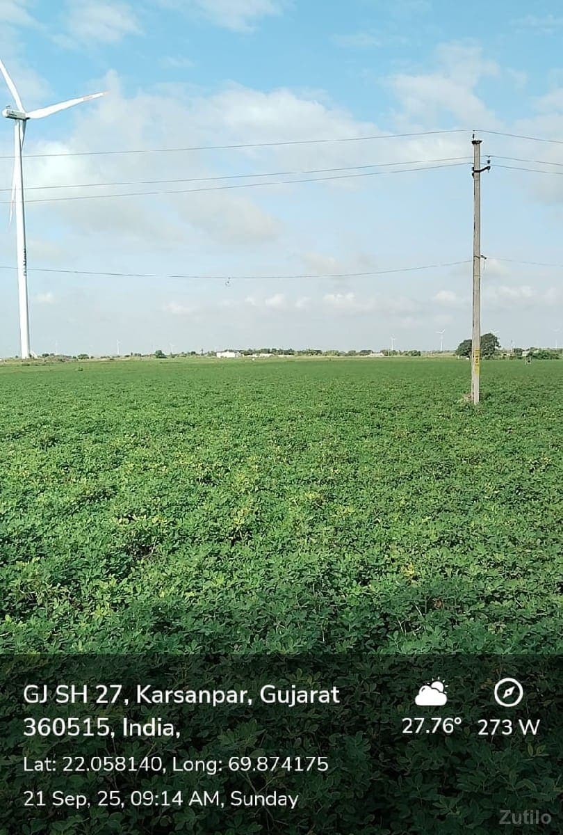ખેતી લાયક જમીન વેચવાની છે - Land & Plots - Jamjodhpur - Image 1