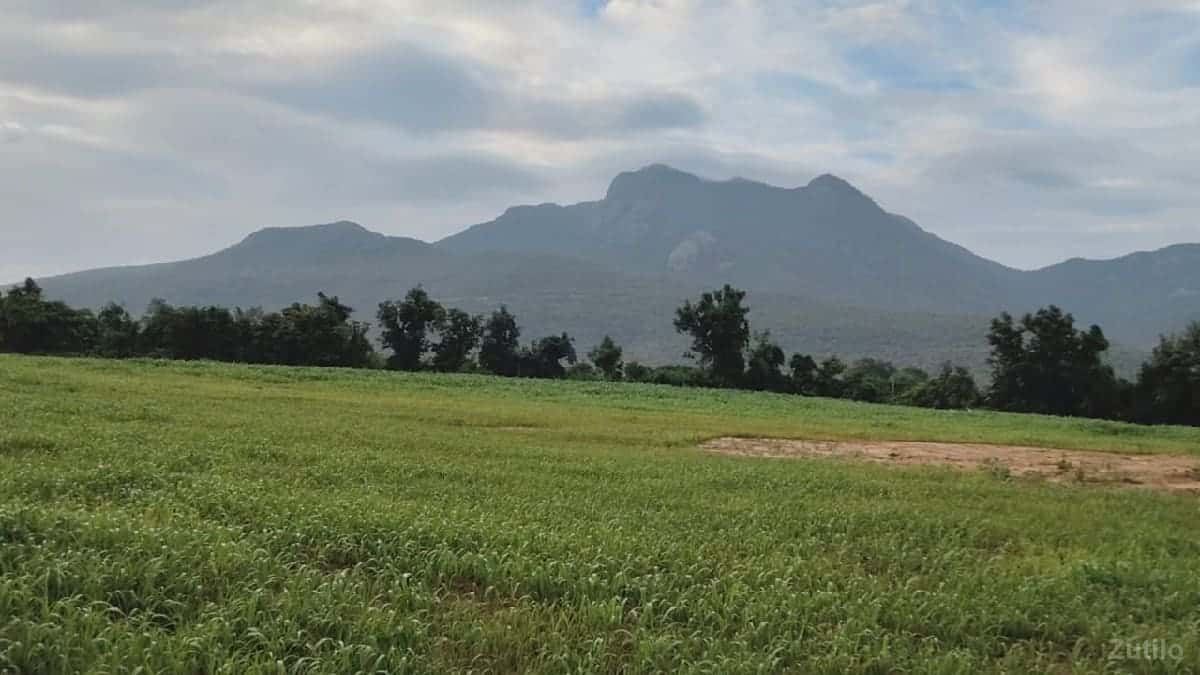 ખડિયા માં જમીન વેચવાની છે ખડિયા માં જમીન વેચવાની છે