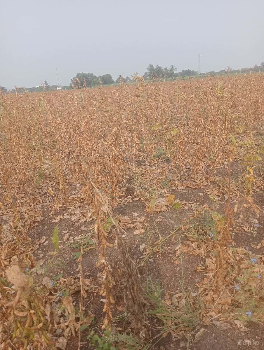 જે કોઈ ને જમીન લેવી હોય તે મને જે કોઈ ને જમીન લેવી હોય તે મને