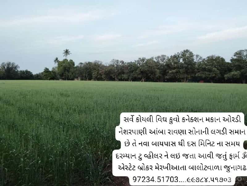 ઝાંઝરડા ચોકડી થી દસ કિમી ના રેસયામા ઝાંઝરડા ચોકડી થી દસ કિમી ના રેસયામા