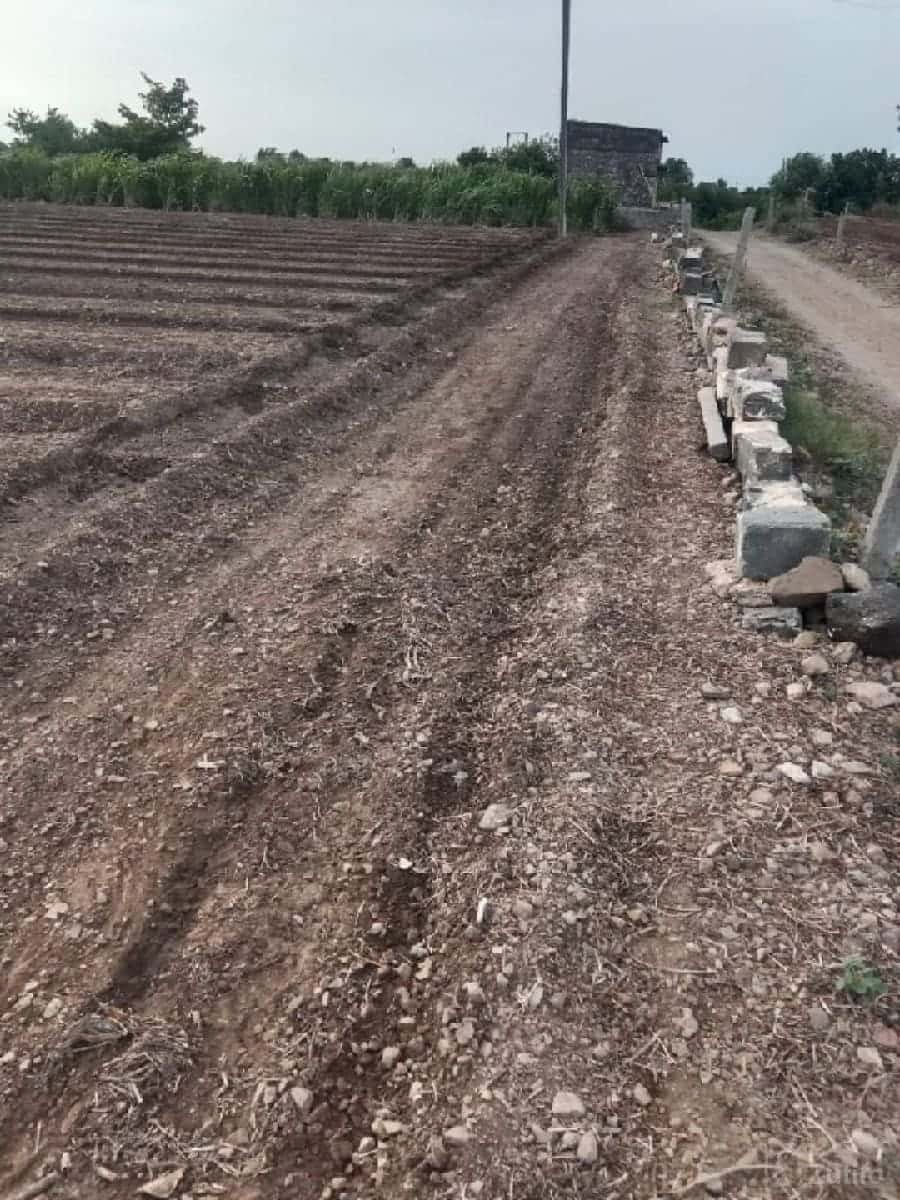 જમીન વેચવાની છે જમીન વેચવાની છે