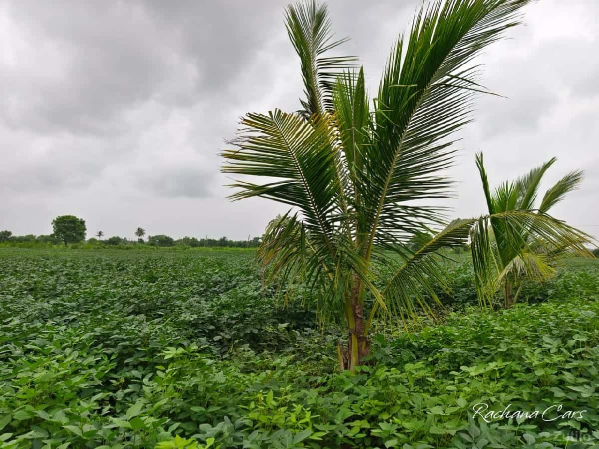 જમીન રોડ ટચ વેચવાની છે. જમીન રોડ ટચ વેચવાની છે.