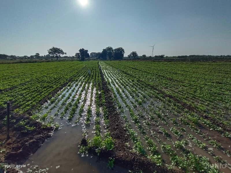 Gunda jamen leva mate kol karo Gunda jamen leva mate kol karo