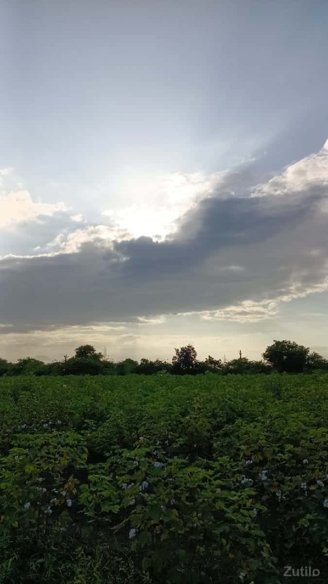 જમીન લેવા માટે મળો જમીન લેવા માટે મળો