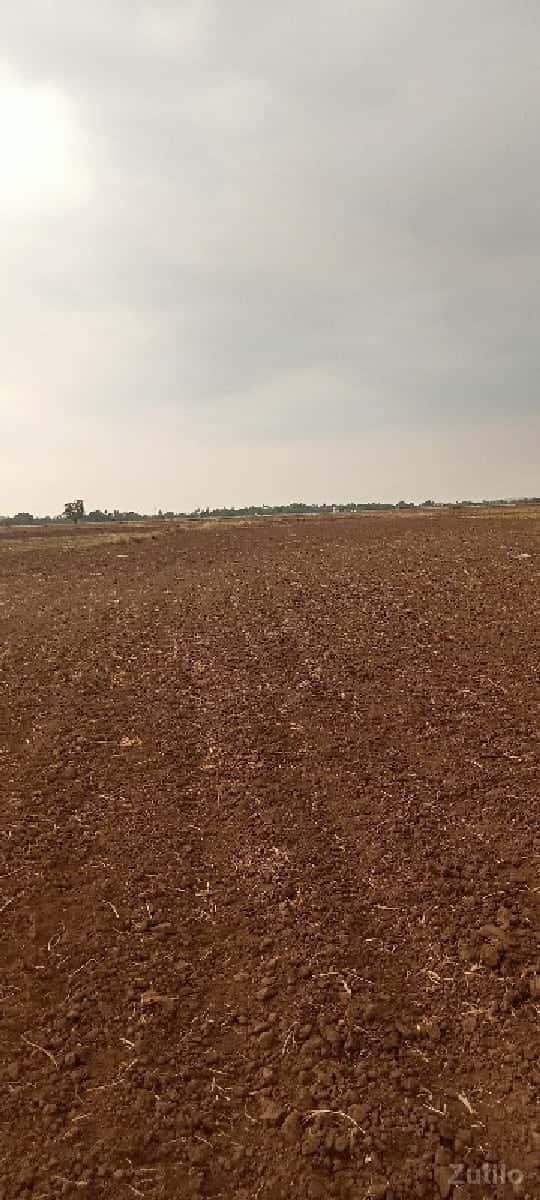 ખેતીની જમીન વેસવાની છે ખેતીની જમીન વેસવાની છે