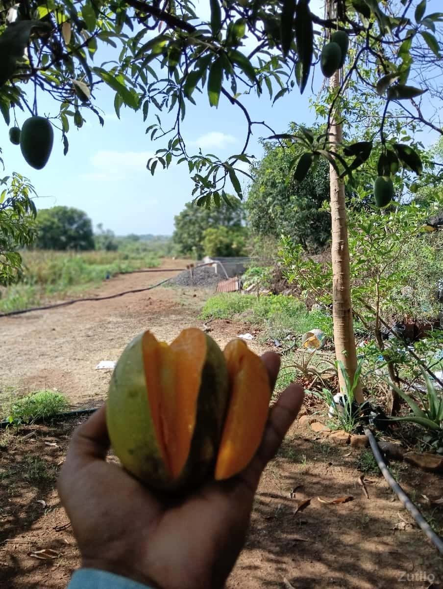 ખેતીની જમીન વેચવાની છે ખેતીની જમીન વેચવાની છે