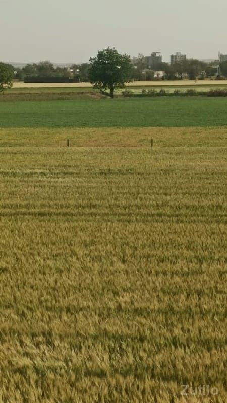 જમીન વેચવાની છે - Land & Plots - Kutiyana - Image 1