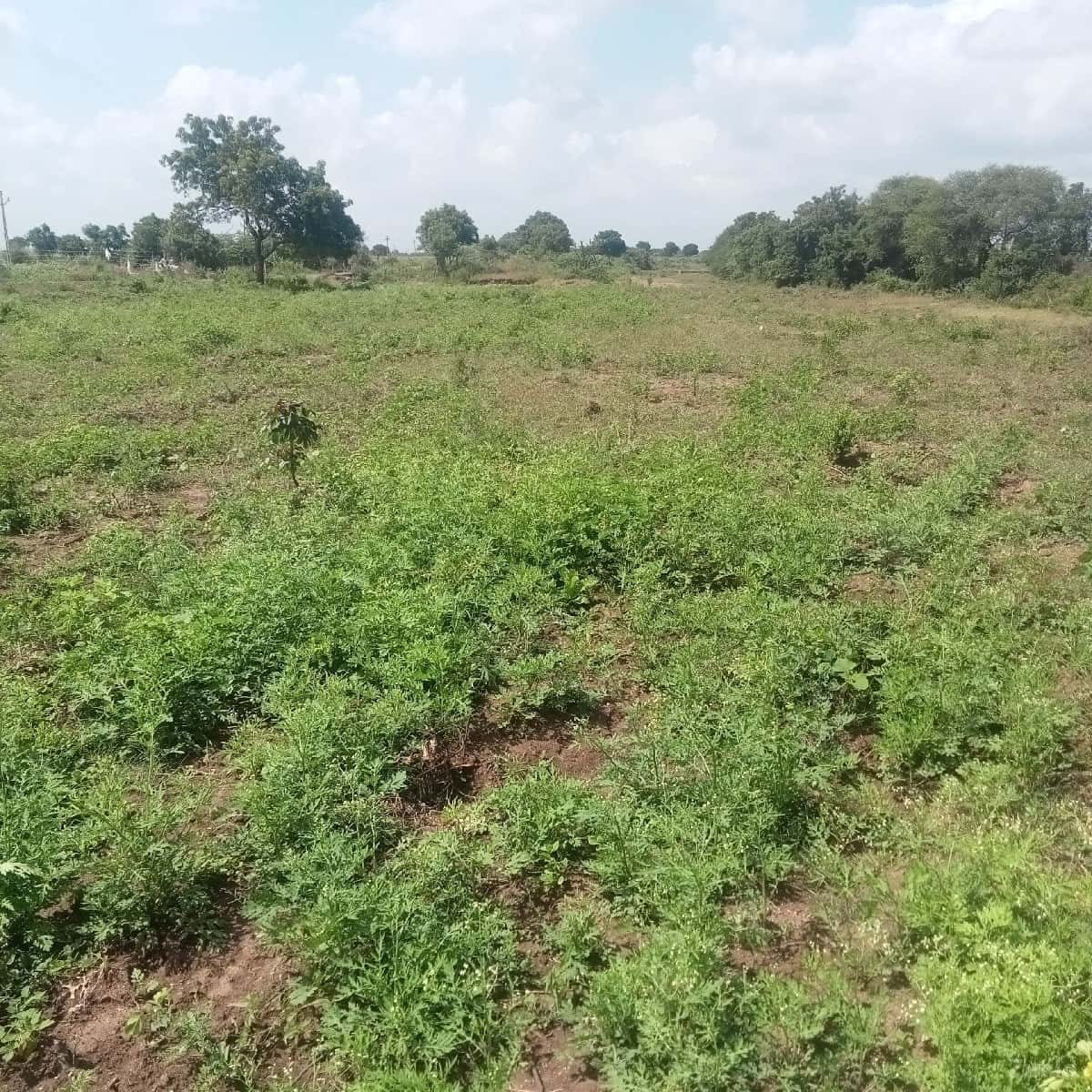 રોડ ટચ જમીન વેચવાની છે રોડ ટચ જમીન વેચવાની છે