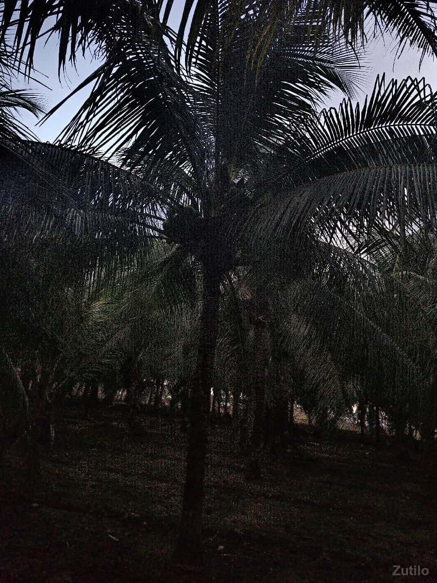 kheti layak jamin kheti layak jamin