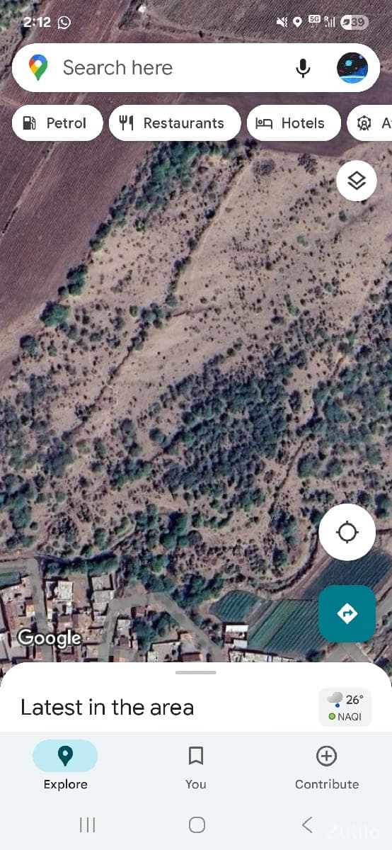 12 વીઘા પડતર