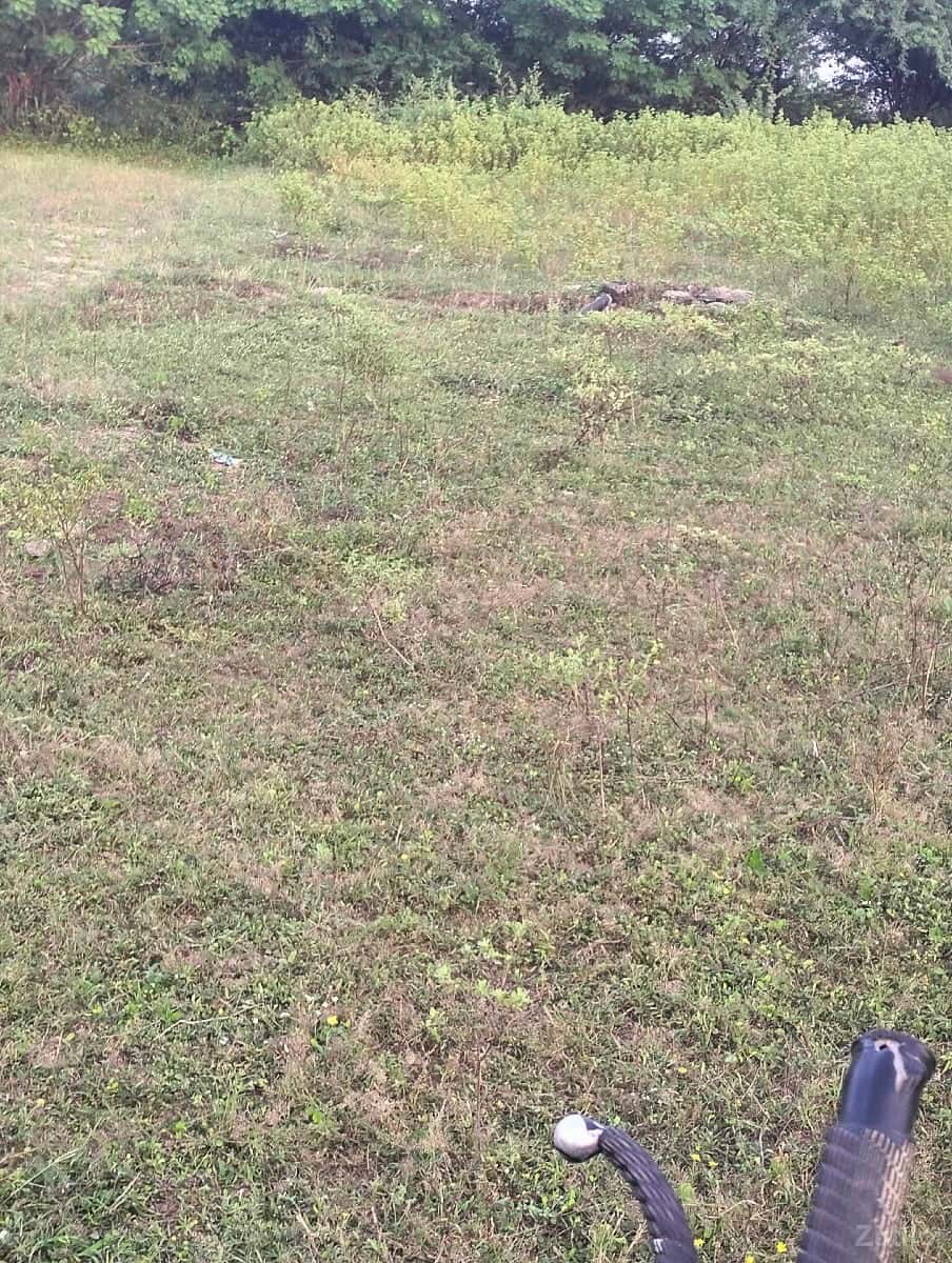 આ જમીન વેચવાની છે આ જમીન વેચવાની છે