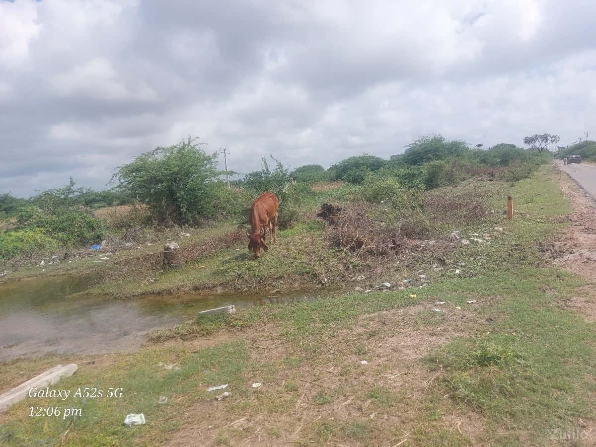 6 વીધા વેસવાની 6 વીધા વેસવાની