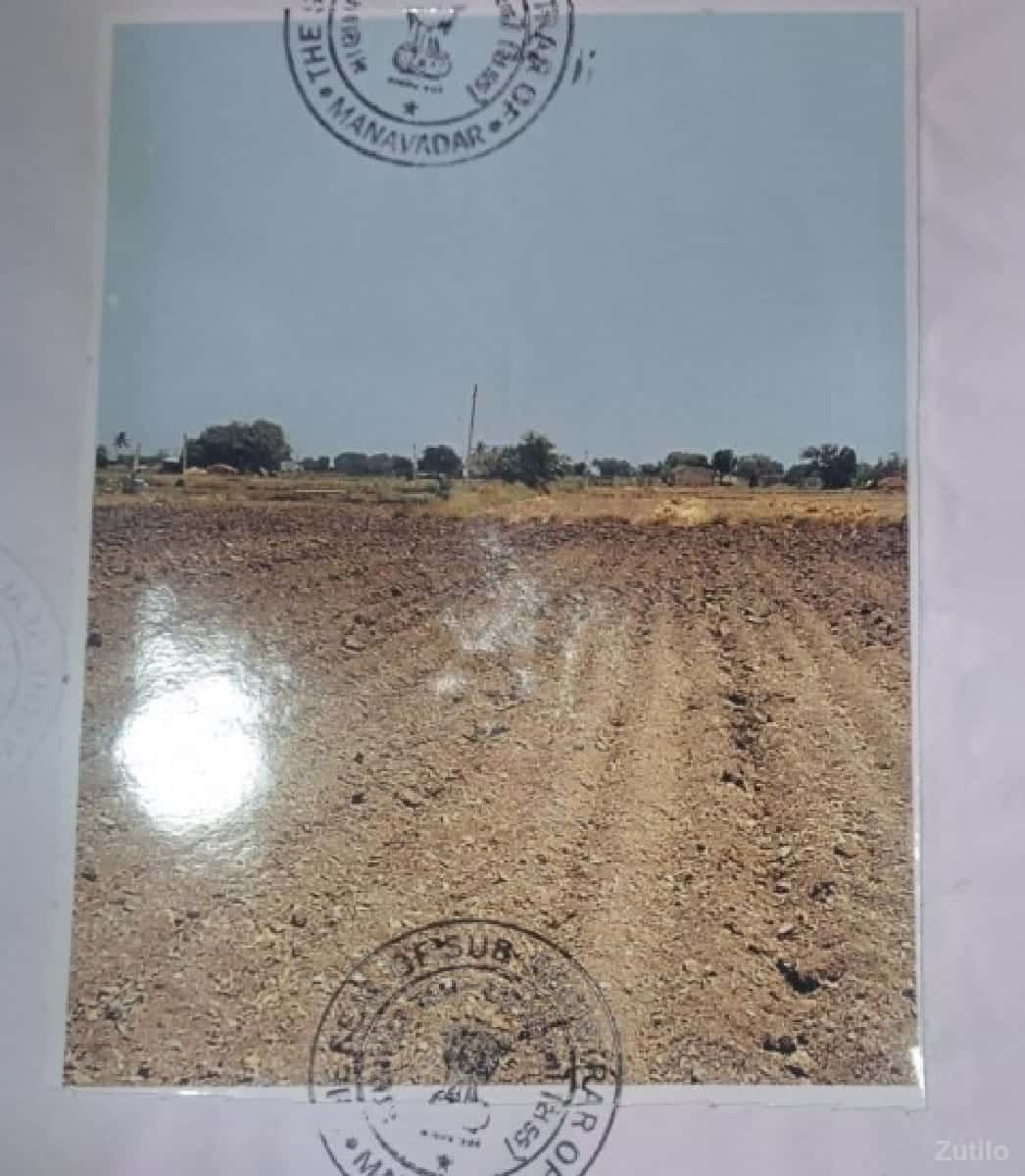 જુનાગઢ જિલ્લાની જમીન જુનાગઢ જિલ્લાની જમીન