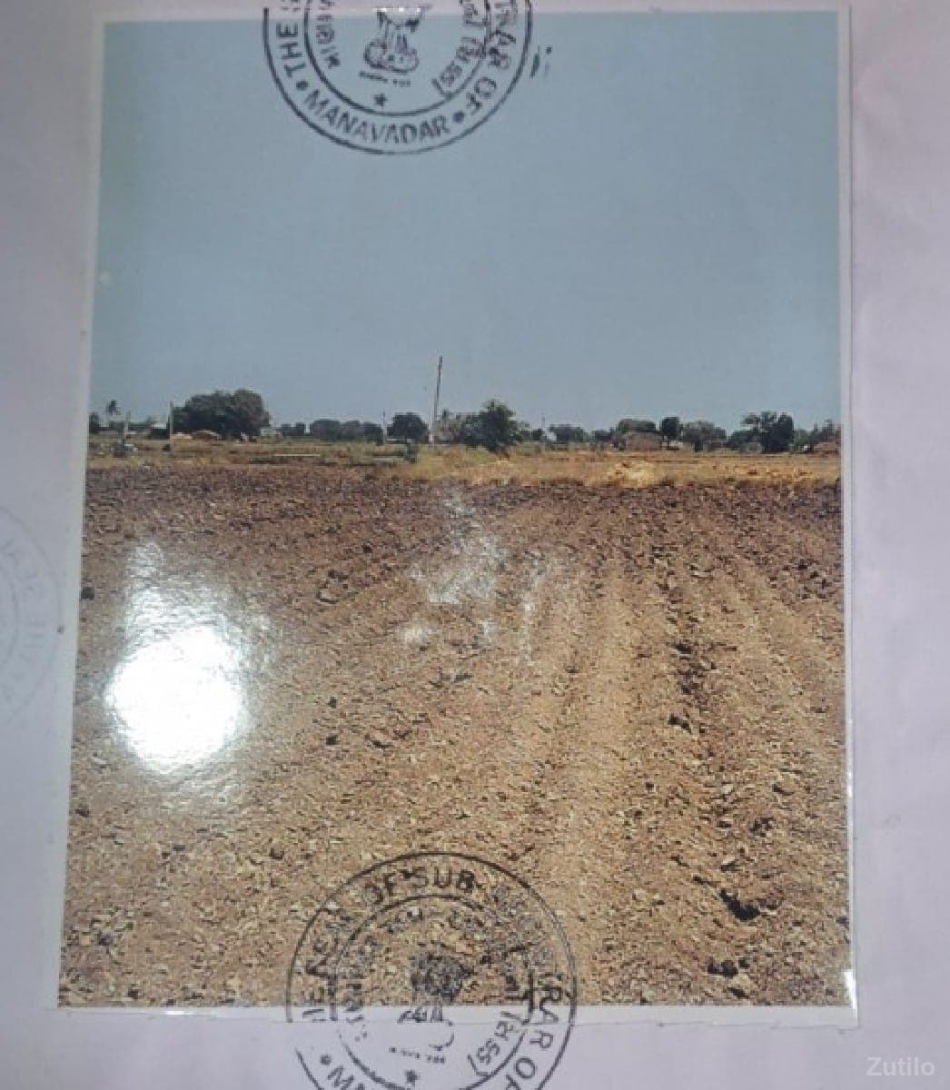 જુનાગઢ જિલ્લાની જમીન - Land & Plots - Somnath - Image 1